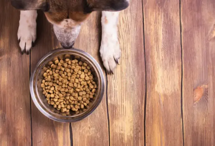 AFB Internacional, palatabilidade de alimentos, pet food, indústrias de rações
