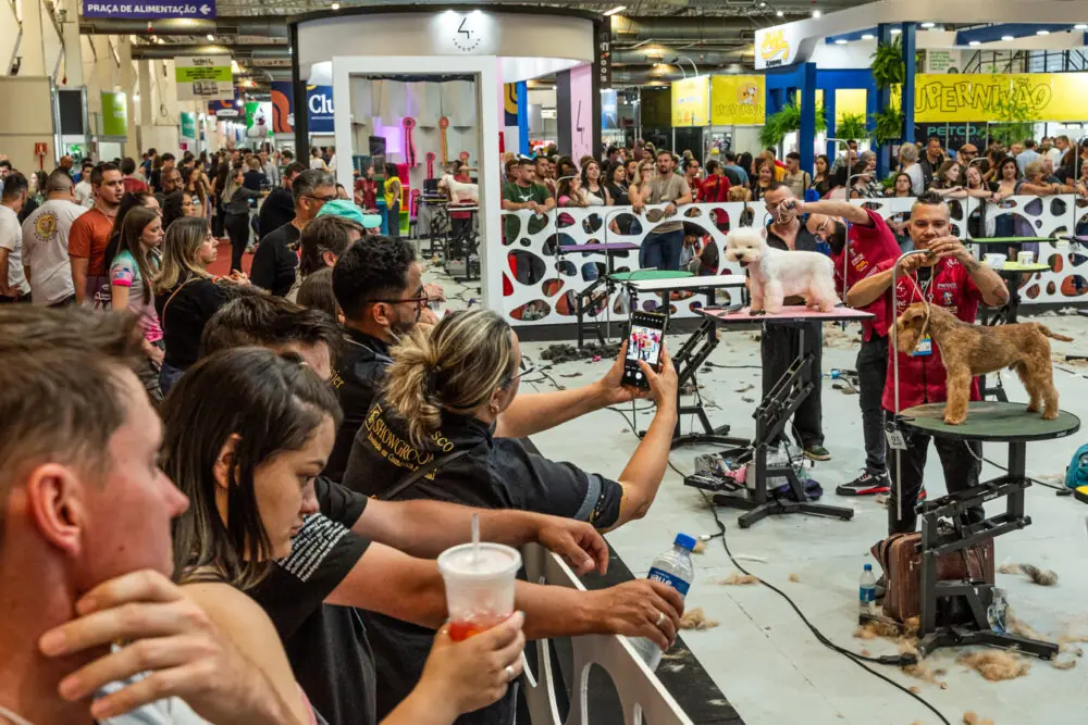 Feipet traz novidades do setor para mais de 8 mil visitantes