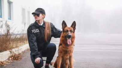 dia-do-cao-policial