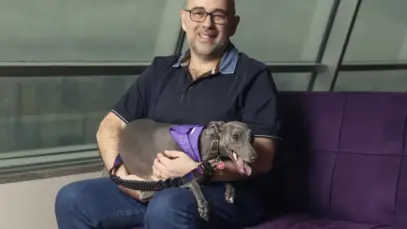 SimplesVet, Petlove