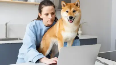 Publicidade-na-veterinária-ganha-novas-regras-após-duas-décadas publicidade na veterinária
