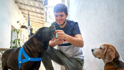 setor-pet-no-brasil