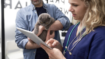 ensino-semipresencial-na-veterinaria