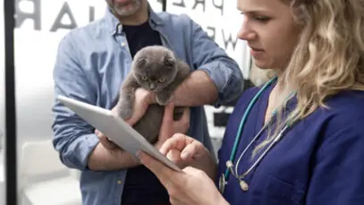 ensino-semipresencial-na-veterinaria