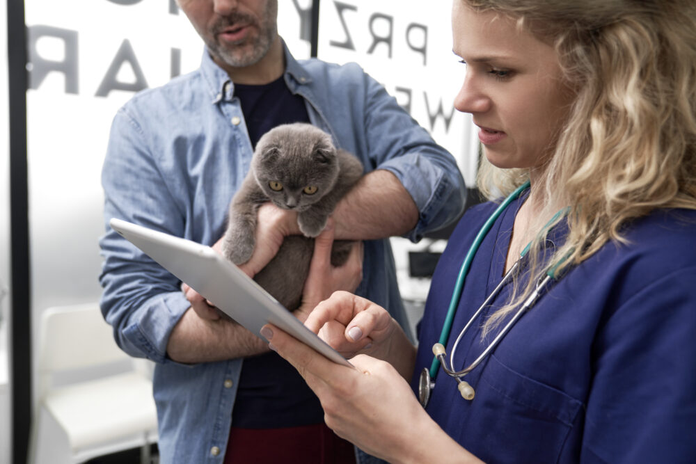 Ensino semipresencial na veterinária: um risco à altura dos números? 1 ensino-semipresencial-na-veterinaria