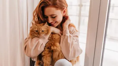 dia-de-abracar-seu-gato