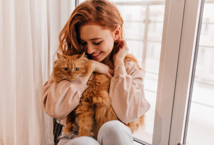 dia-de-abracar-seu-gato