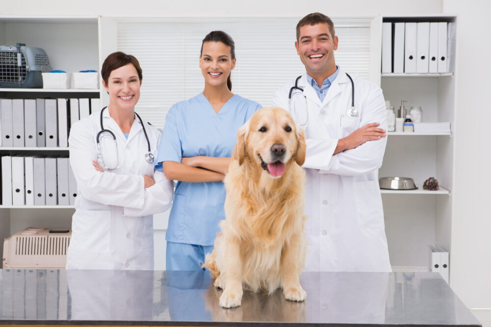 Vamos falar de compliance na medicina veterinária? 1 Compliance-na-medicina- veterinaria