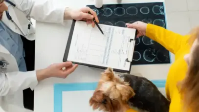 CFMV-altera-prazo-para-entrega-de-prontuários-veterinários PRONTUÁRIOS VETERINÁRIOS