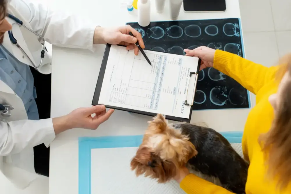 CFMV altera prazo para entrega de prontuários veterinários 1 PRONTUÁRIOS VETERINÁRIOS