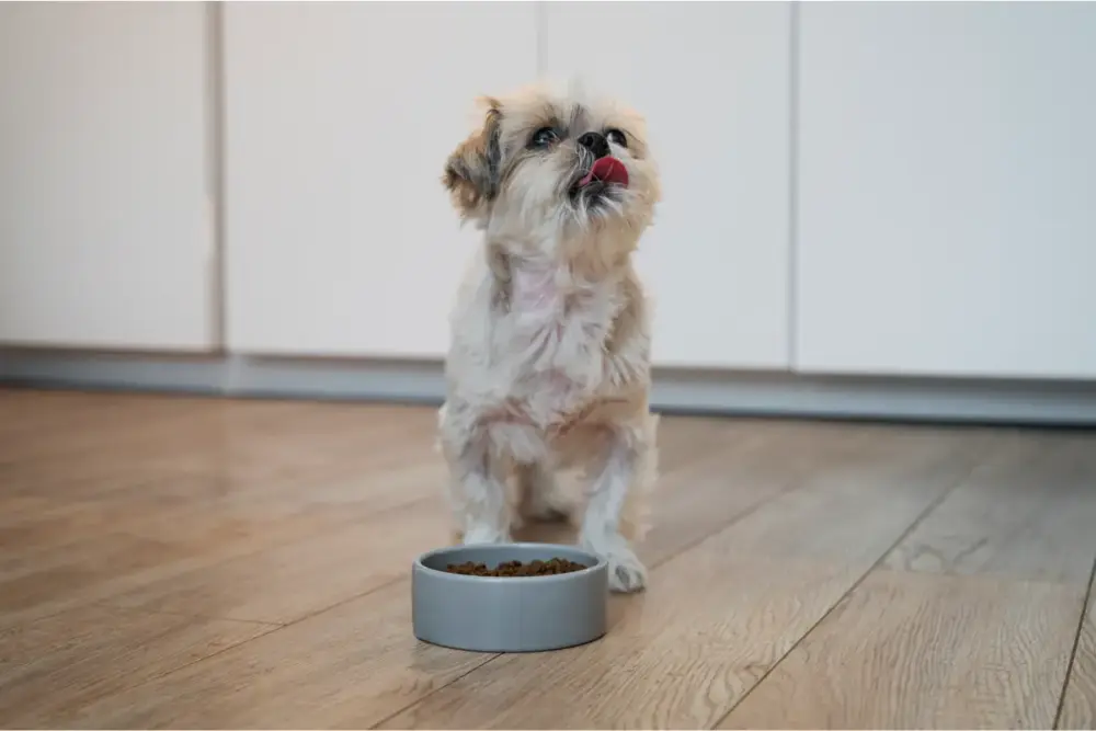 Fábrica de nutrição animal fecha as portas 1 fábrica de nutrição animal