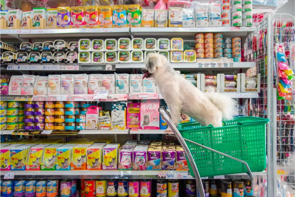 inadimplência no mercado pet, inadimplência, pet shops