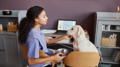 IA para atendimento veterinário, IA, veterinários, atendimento veterinário, inteligência artificial
