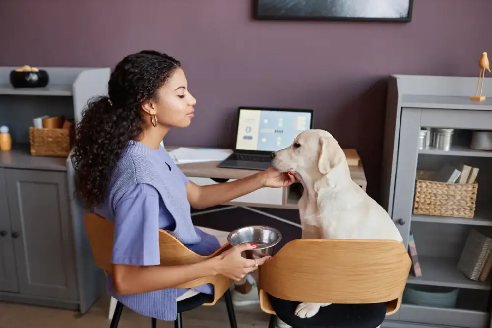 IA para atendimento veterinário, IA, veterinários, atendimento veterinário, inteligência artificial