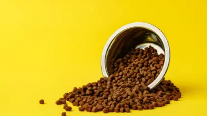 hills-pet-nutrition