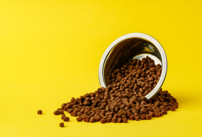 hills-pet-nutrition