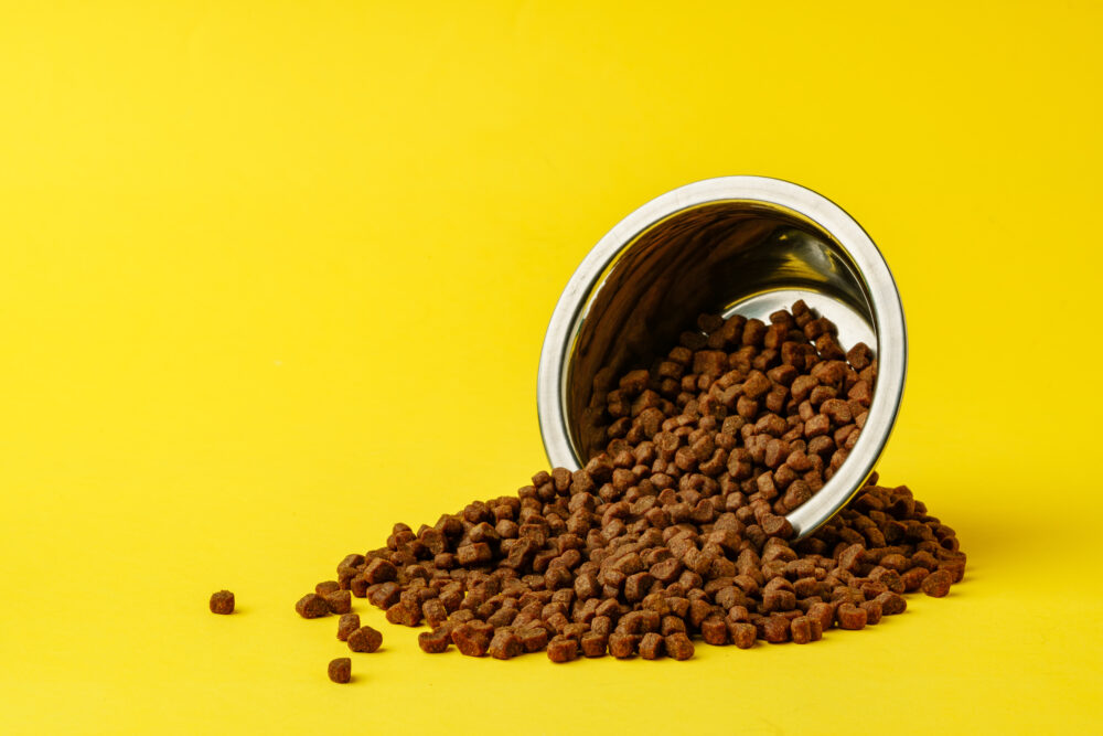 Hill’s Pet Nutrition aumenta lucro operacional em 30% no 1º trimestre 1 hills-pet-nutrition
