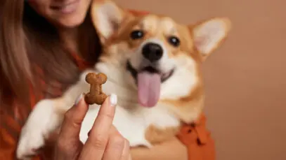 wigow
