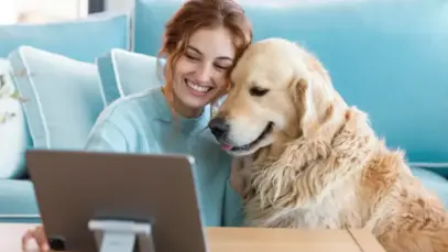Comparador de preços quer ampliar visibilidade de pet shops