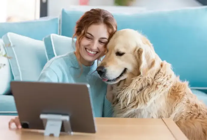 comparador de preços, pet shops