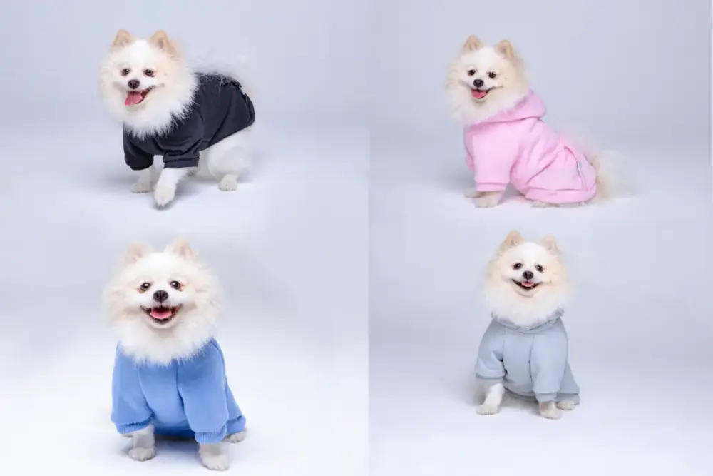 Novos moletons para inverno 2 interno