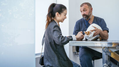 saude-mental-dos-veterinarios