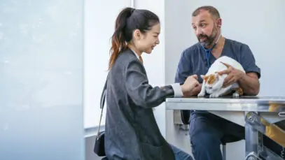saude-mental-dos-veterinarios