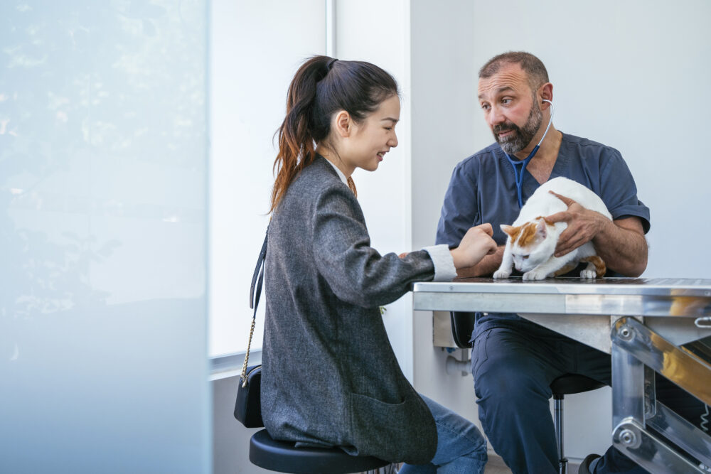 Estratégias para aprimorar a saúde mental dos veterinários 1 saude-mental-dos-veterinarios