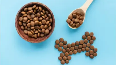 setor de pet food, pet food