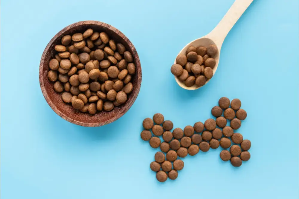 setor de pet food, pet food