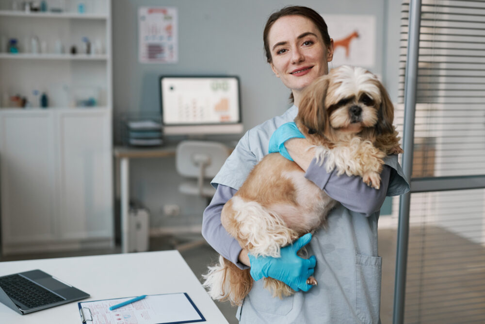 Olhar cuidadoso na interação entre indústria e veterinários 1 INDUSTRIA-E-VETERINARIOS