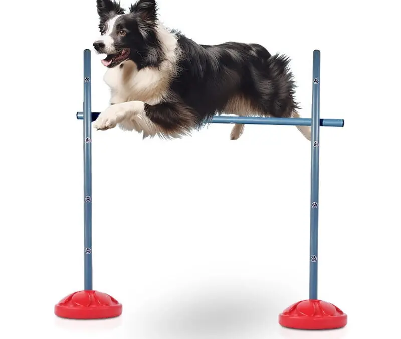 DOG2