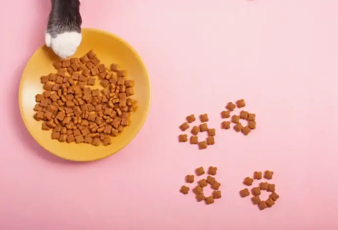 mercado global de pet food