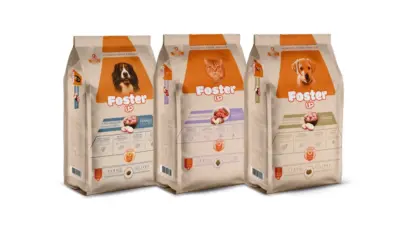 Foster Pet