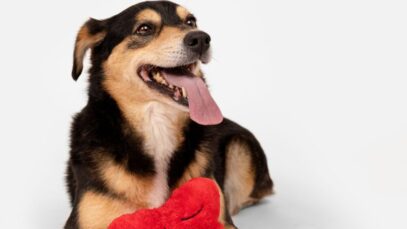 petlove