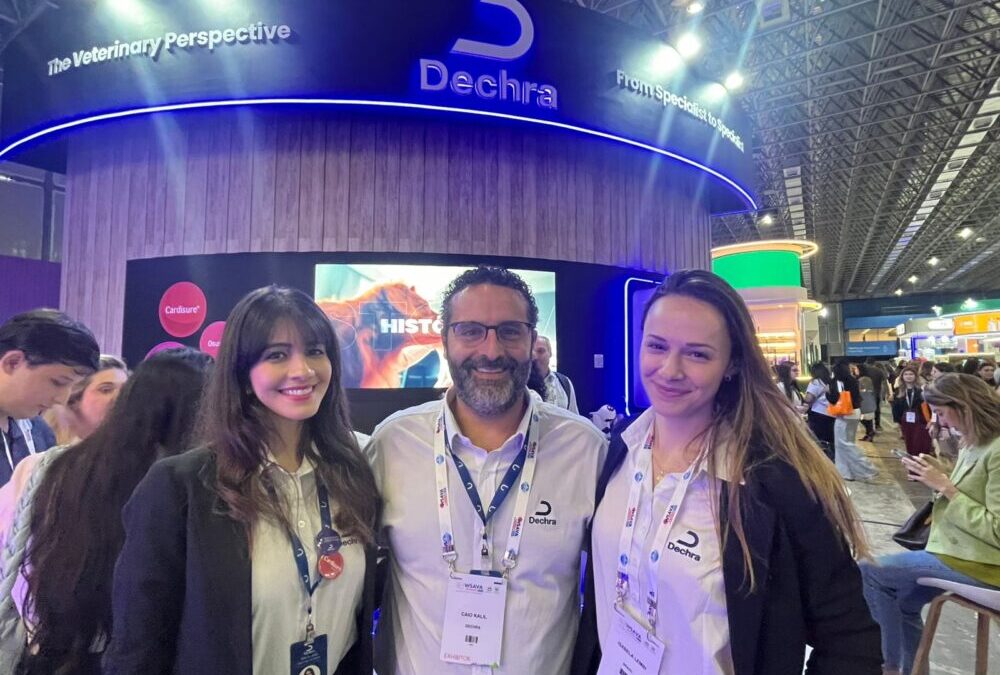 WhatsApp Image 2025-09-29 at 16.42.34