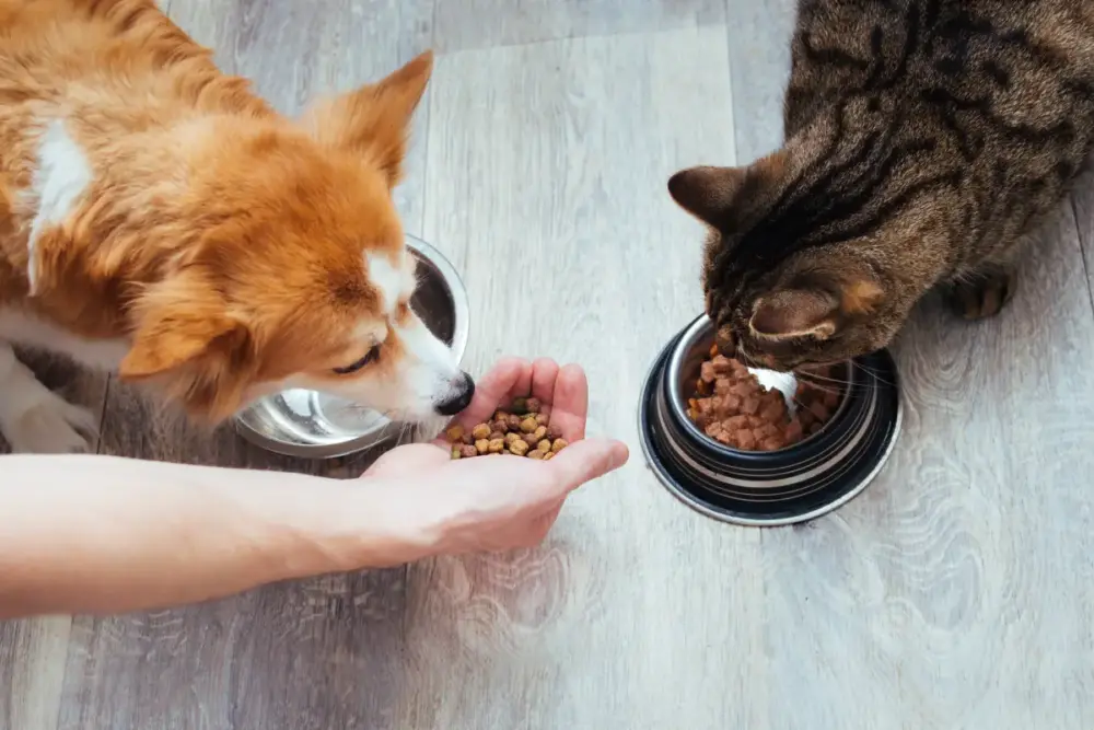 pet food na América do Sul