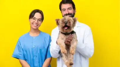 estudo-avalia-perfil-dos-salarios-de-salarios-dos-veterinarios salários dos veterinários
