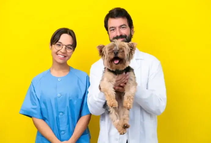 salários dos veterinários