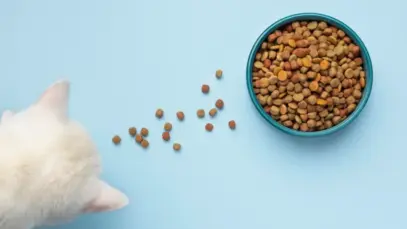 Setor de alimentação animal