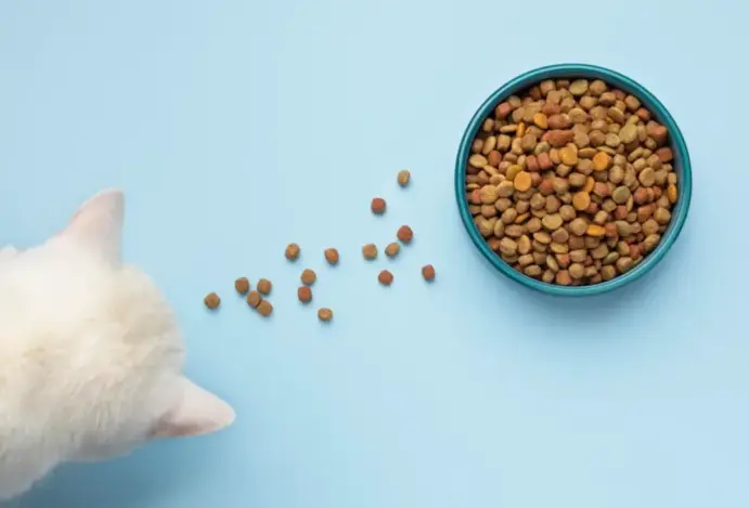Alimentos para cães e gatos já somam quase 2 milhões de toneladas em 2025 Setor de alimentação animal cresce 2,2% com destaque para o mercado pet