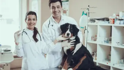 ANMV celebra criminalização do exercício ilegal da veterinária