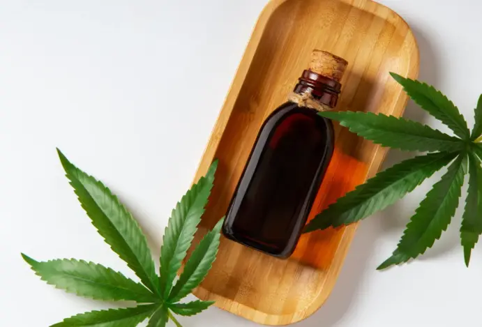 Audiência pública reuniu especialistas e lideranças para debater avanços clínicos, regulação e políticas públicas sobre o tema
Alesp discute uso da cannabis na medicina veterinária