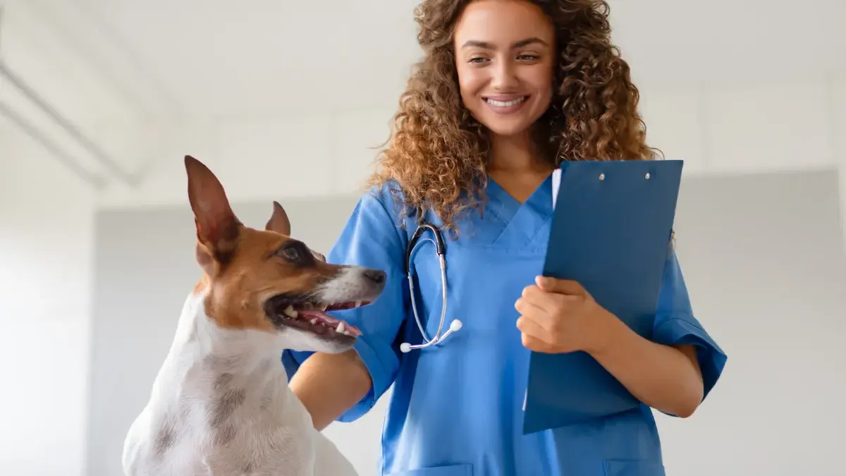 Formação permite conciliar estudos com atividades profissionais | Foto: Freepik