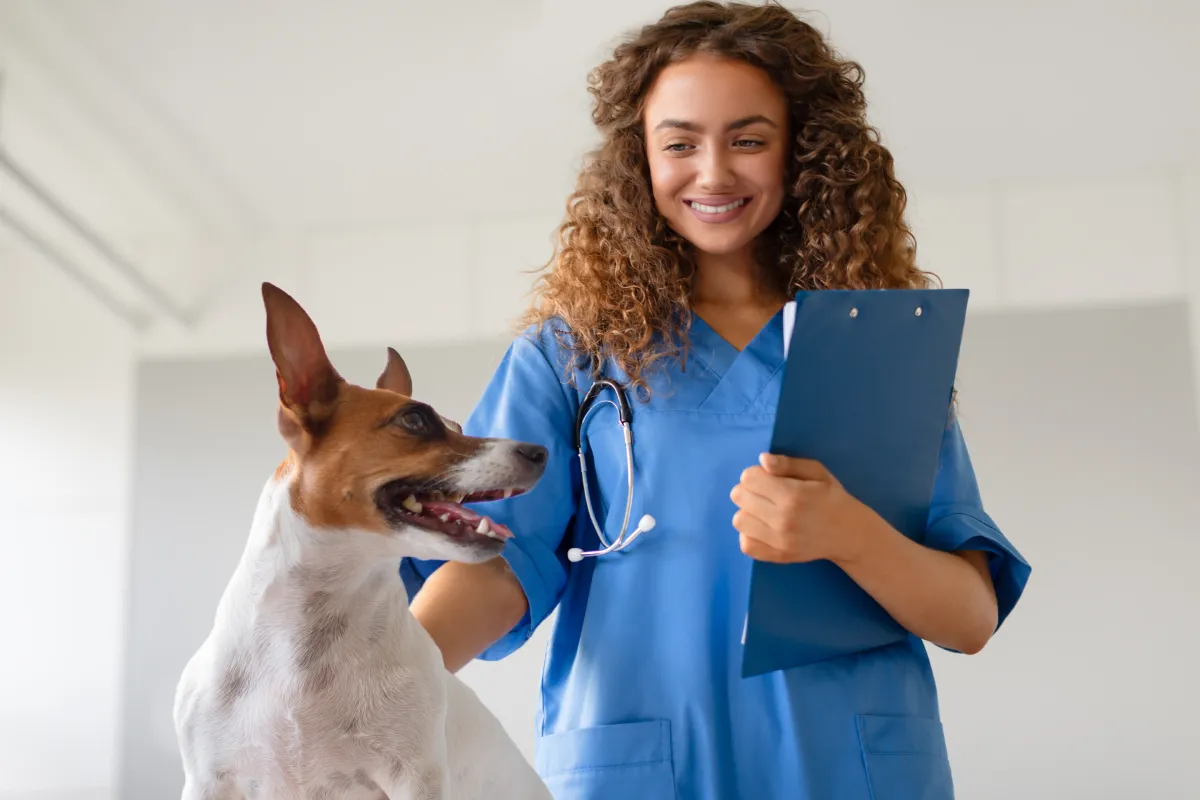 ETECs lançam curso técnico gratuito em veterinária