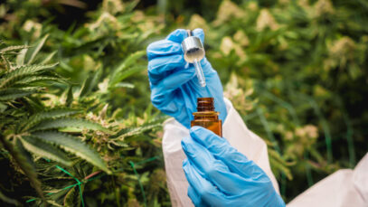 cannabis-na-veterinaria