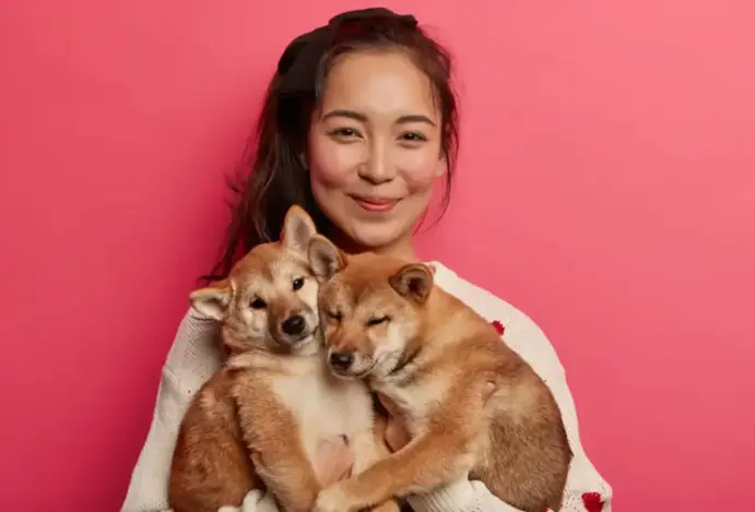 Com tarifas mais altas e avanço da concorrência, setor procura adaptar operações com foco no fortalecimento de marcas nacionais Indústria de pet food na China sofre com importações