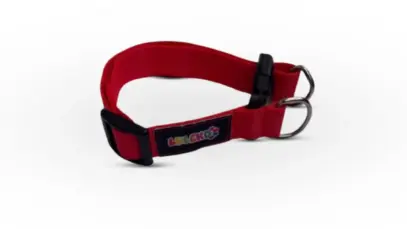 Luleko lança linha de coleiras coloridas para cães e gatos