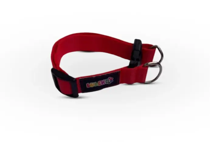 Luleko lança linha de coleiras coloridas para cães e gatos