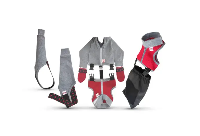 Acessórios garantem maior mobilidade e segurança durante período de sensibilidade Vani Pet lança novas roupas para pets pós-cirurgia